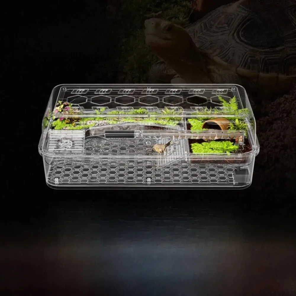 Reptile Care green