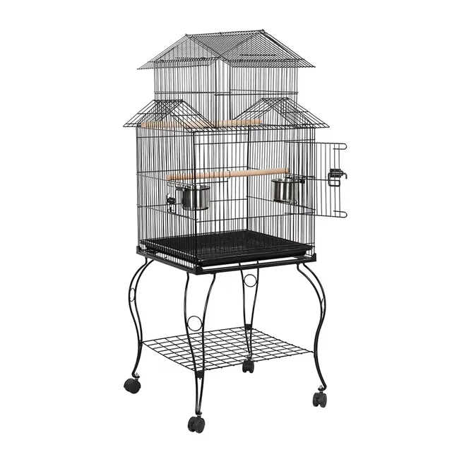 Top Bird 55' green black
