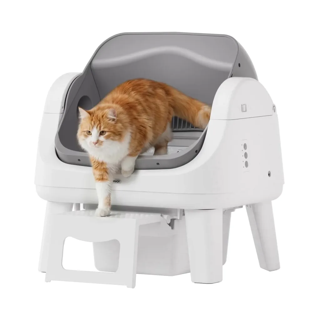 Cat Litter grey 3-22 pounds