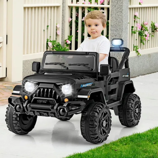 Backyard Play black 35w 12v