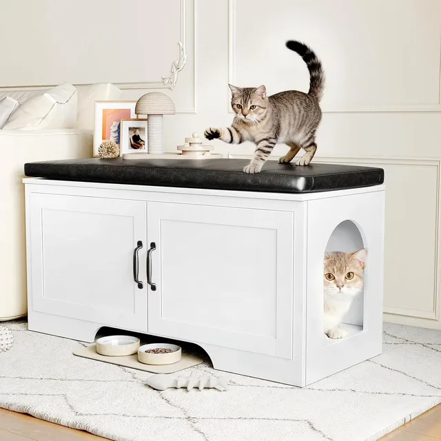 Cat Litter