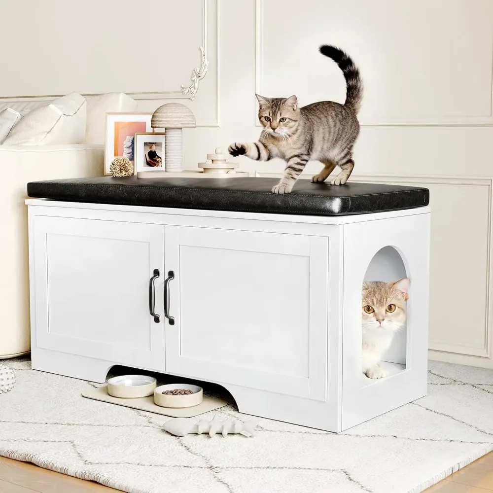 Cat Litter
