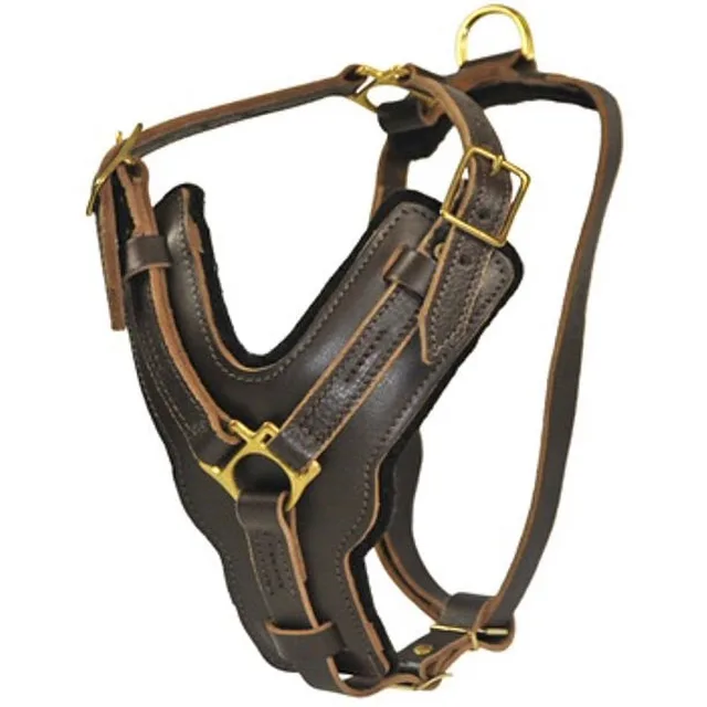 Collars & Travel brown 4 inch 30 mm