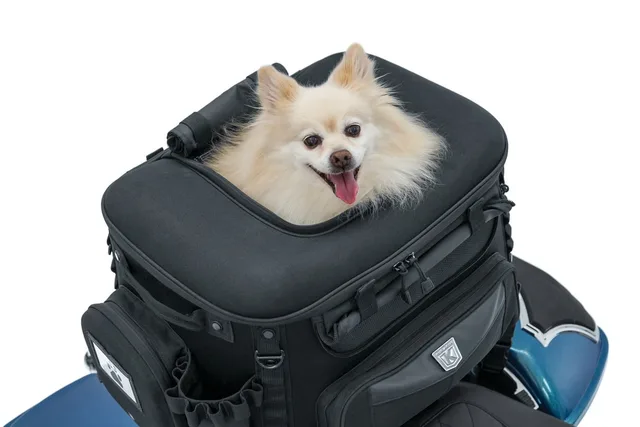 Motorcycle portable black 16"