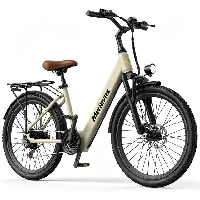 Electric Bike 24" 748w 36v