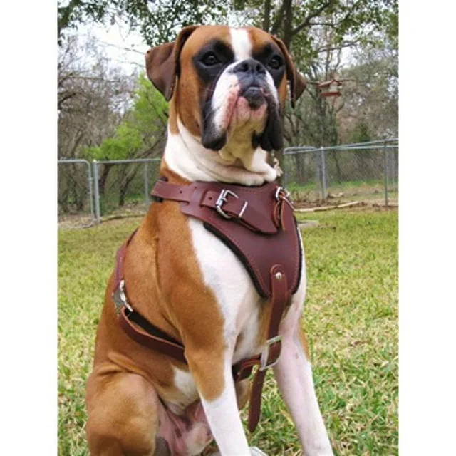 Collars & Travel adjustable brown 4 inch