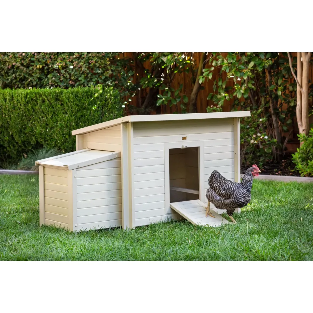 Chicken Coop red tan