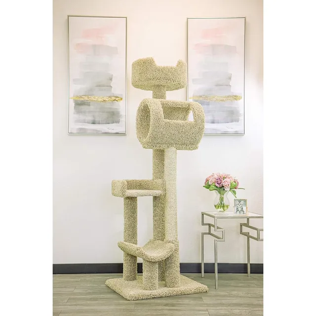 Furniture & Enrichment 26" 25" 49"