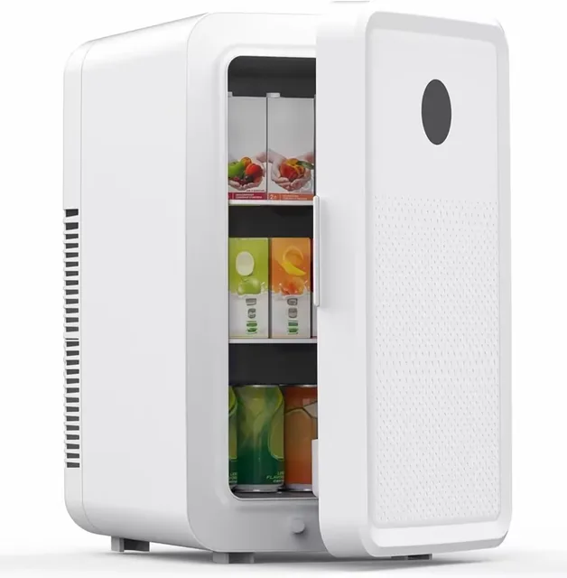 Cooler 110v 12v portable
