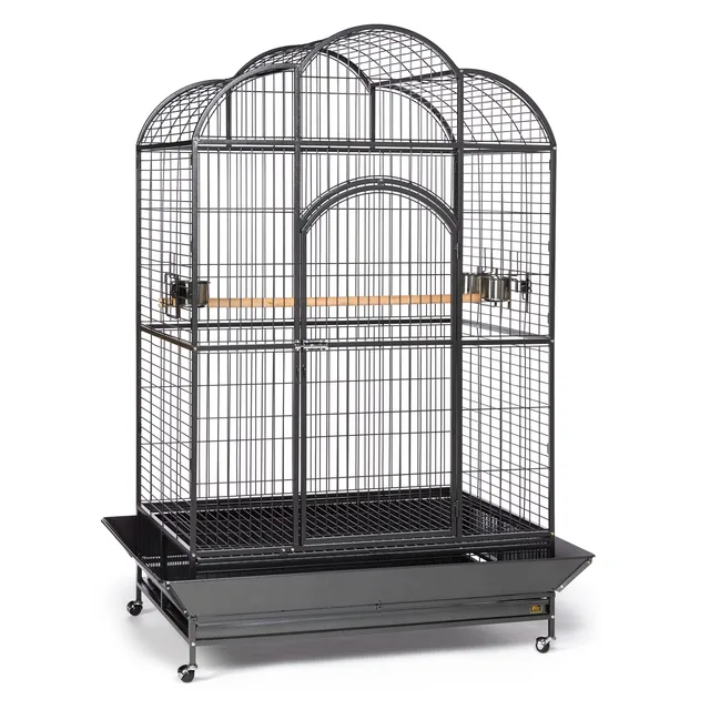 Bird Cage silver