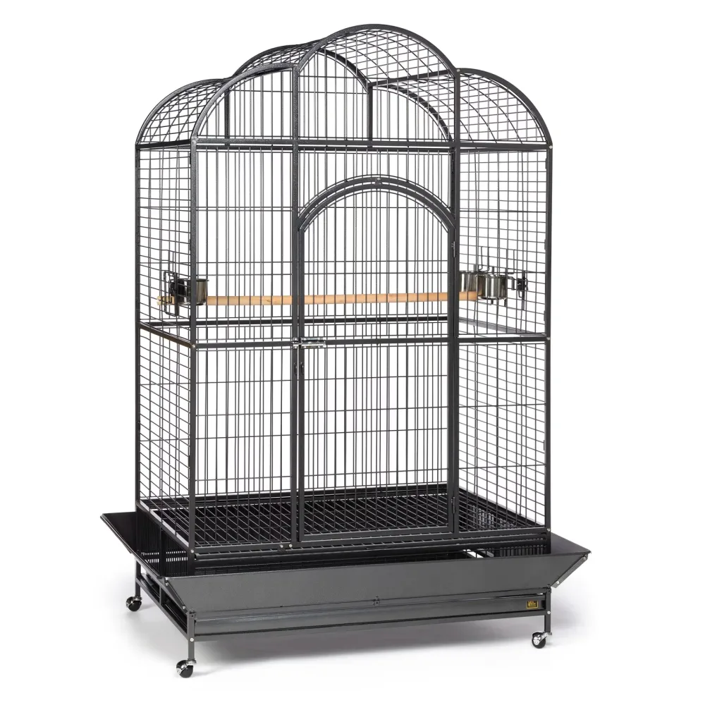 Bird Cage silver
