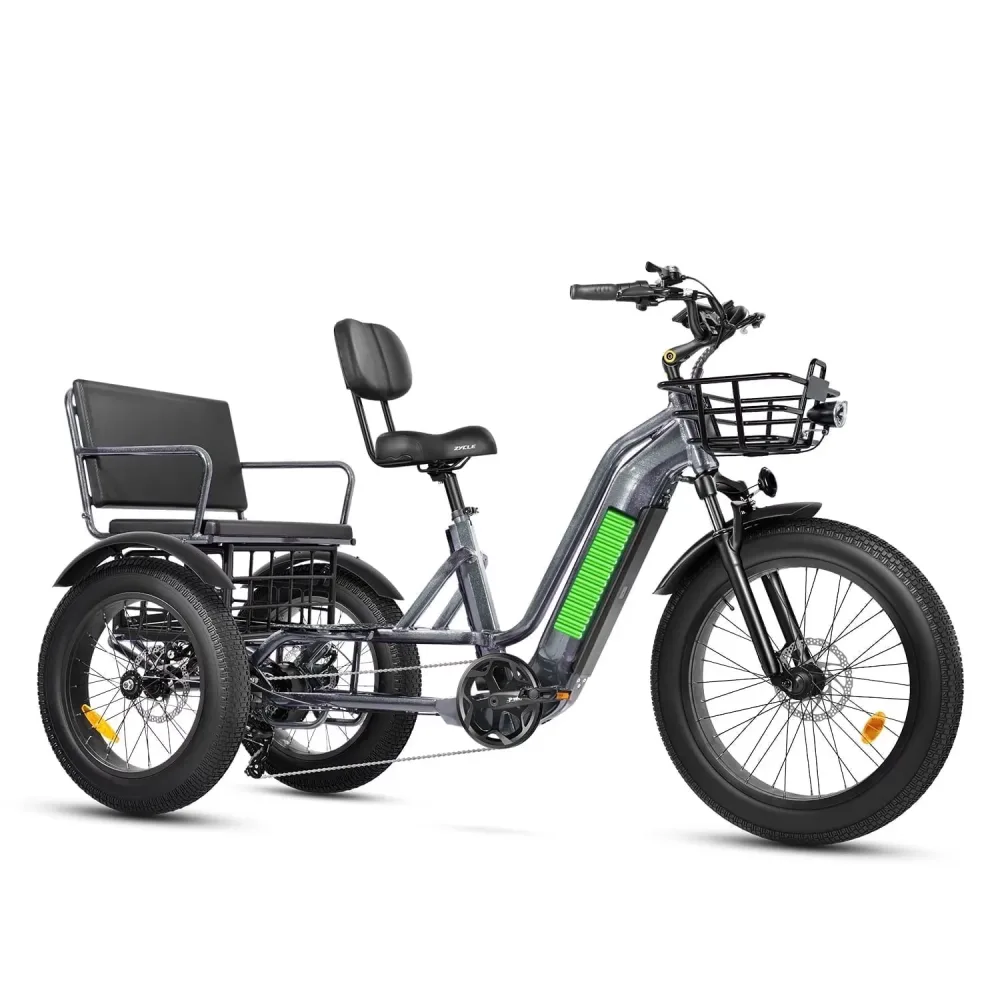 Electric Tricycle 750w 48v gray
