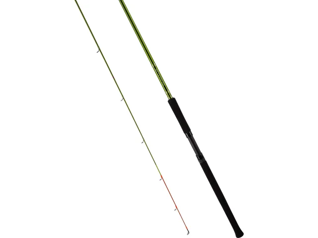 Spinning Rod 16'