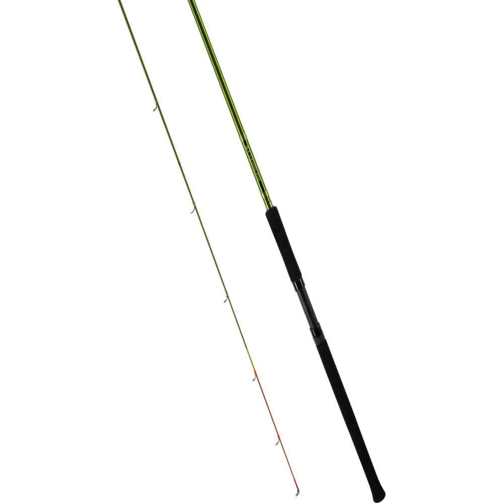 Spinning Rod 16'