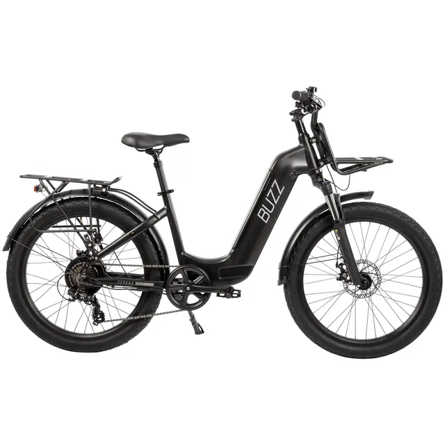 Electric Bike 24" 48v 60"