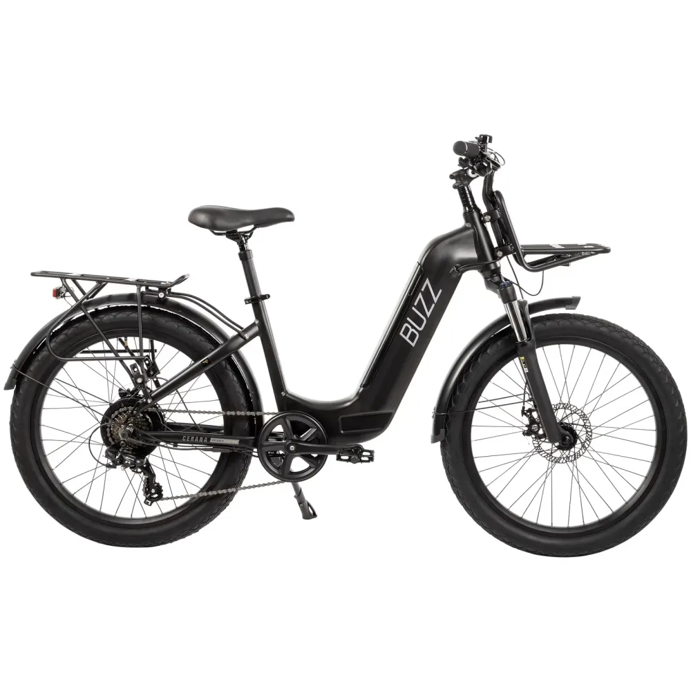Electric Bike 24" 48v 60"