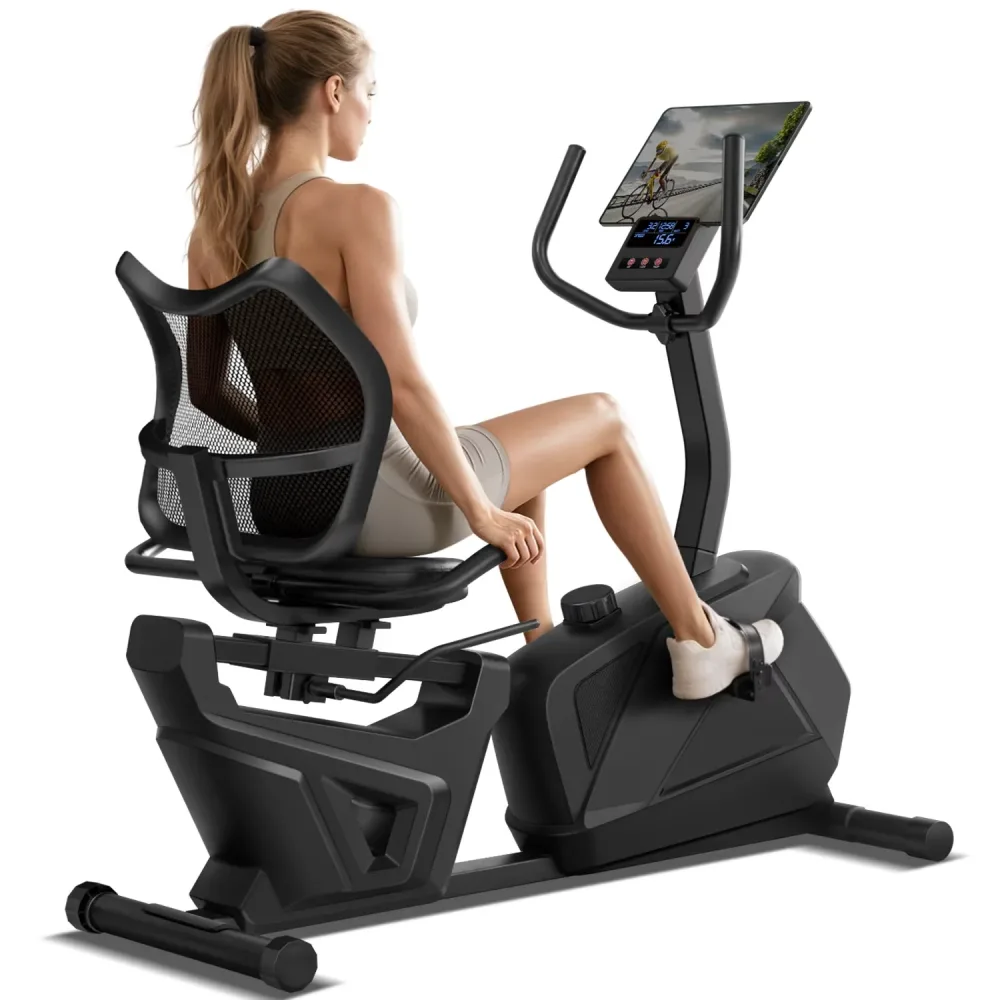 Exercise Bike 11 lb adjustable portable