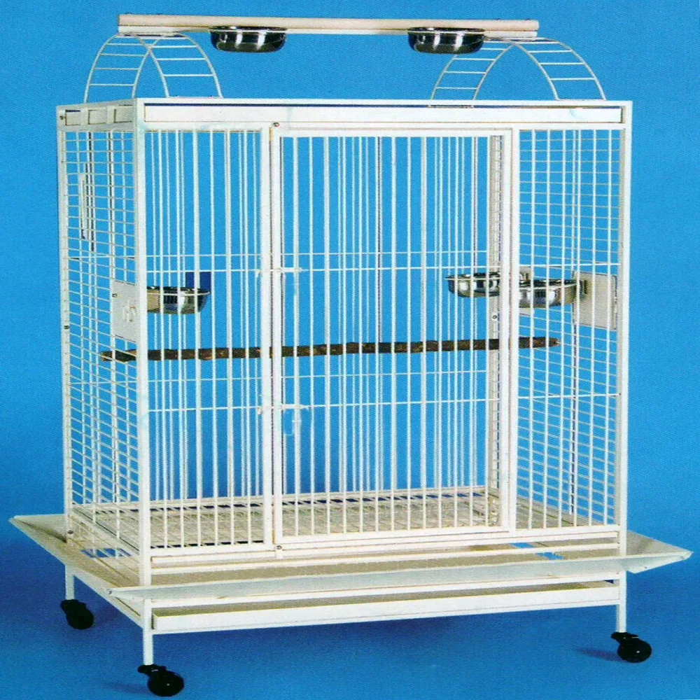 Iron Bird 24" 22" 43"