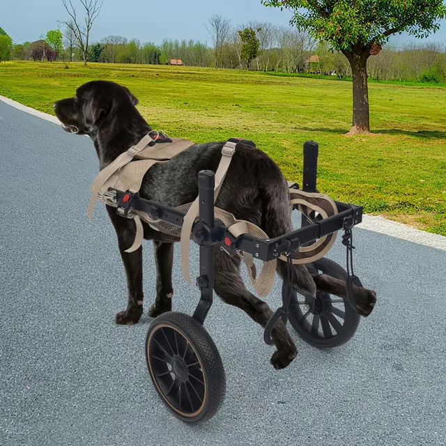 Mobility Cart 143lbs adjustable 65kg