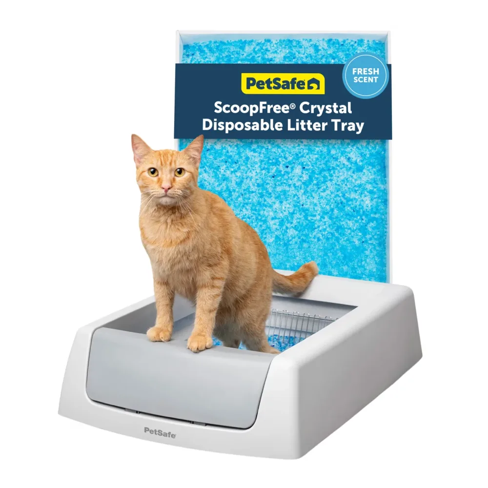 Cat Litter gray