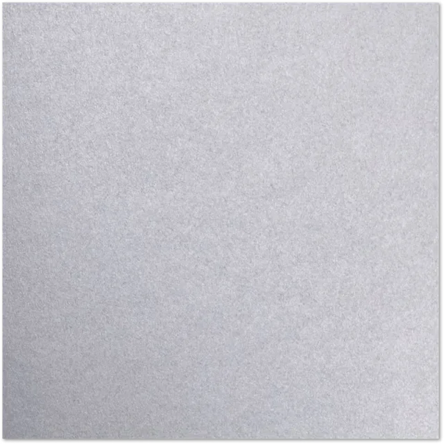 Paper Products 100lb silver 12 in