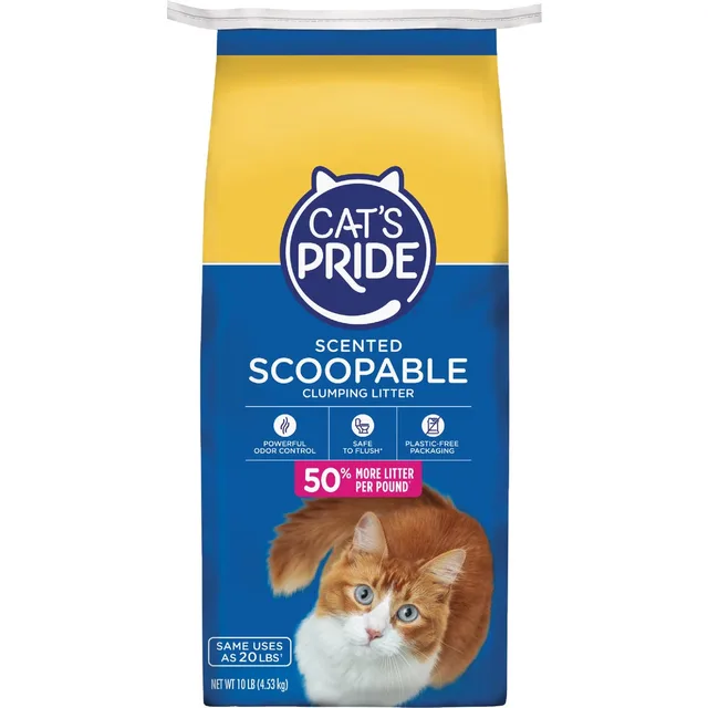 Cat Litter