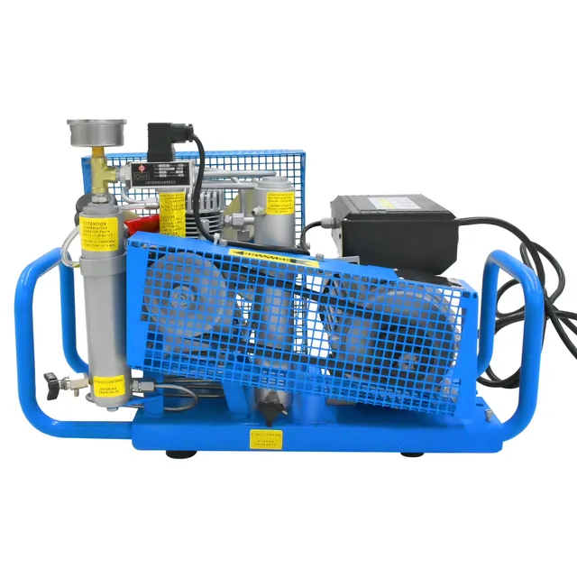 Air Compressor 110v 05 lb adjustable