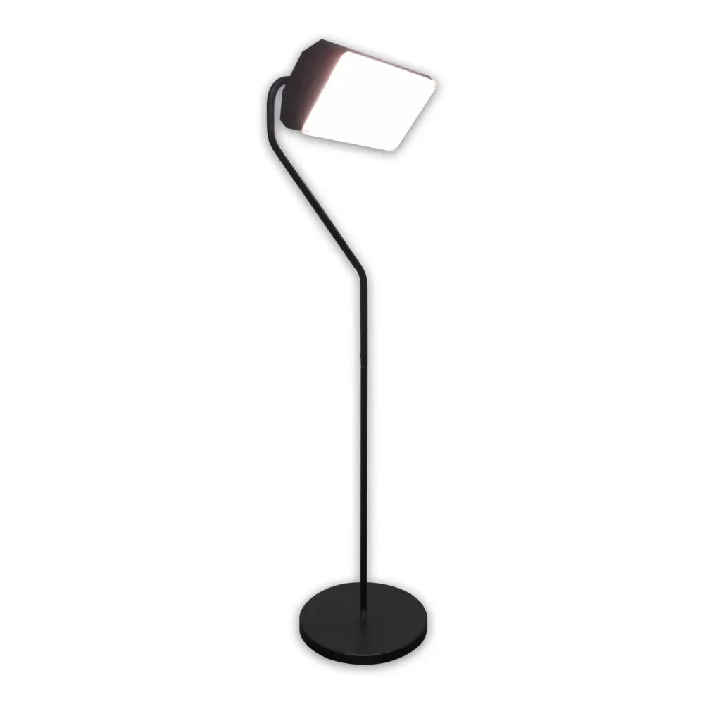 Light 4 foot led adjustable