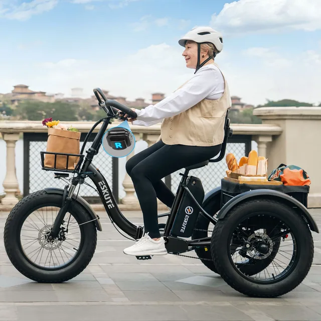 Electric Bike 20" 4.0" foldable