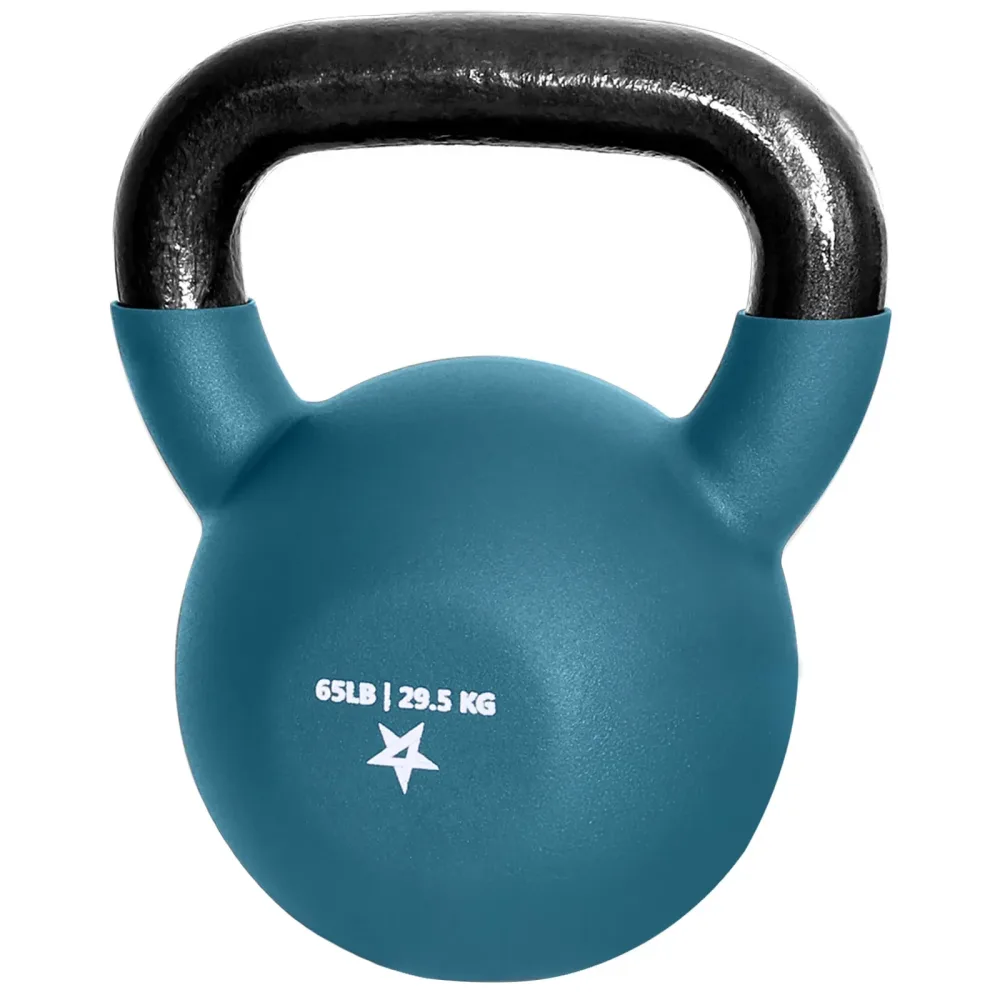 Strength Equipment 65 lb