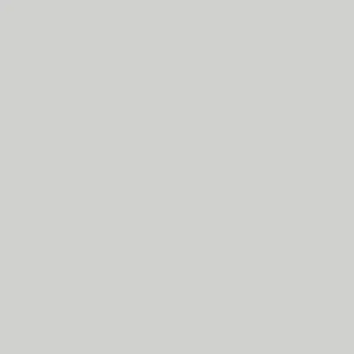 Storage Shed 6' 4' gray