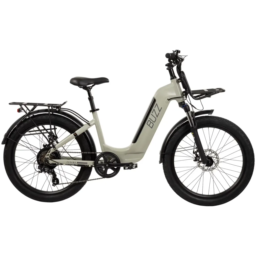 Electric Bike 24" 48v 60"