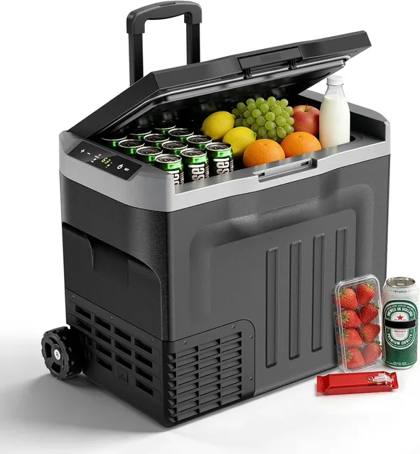 Electric Cooler 12v 24v 100-240v