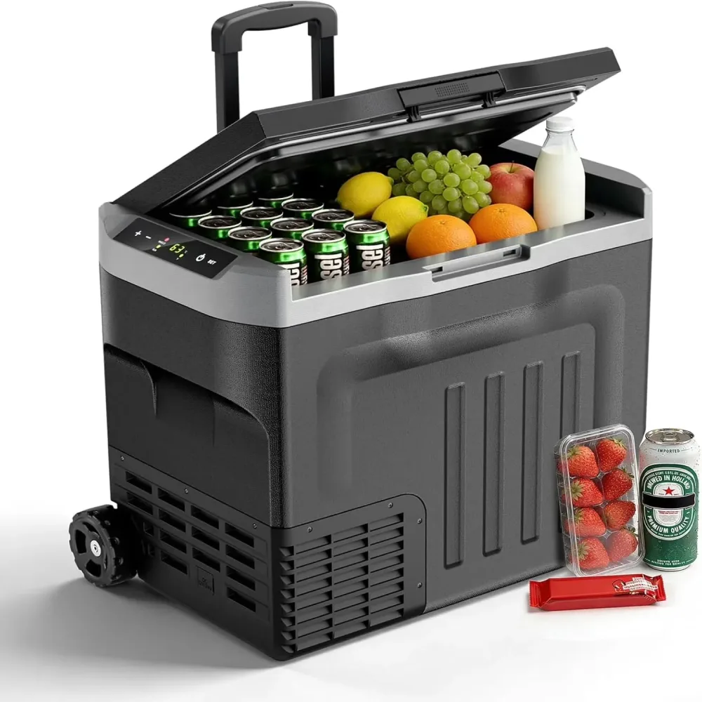 Electric Cooler 12v 24v 100-240v