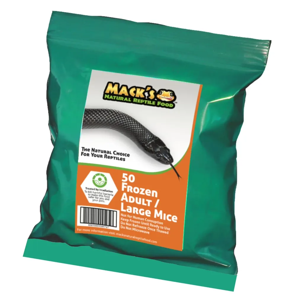 Reptile