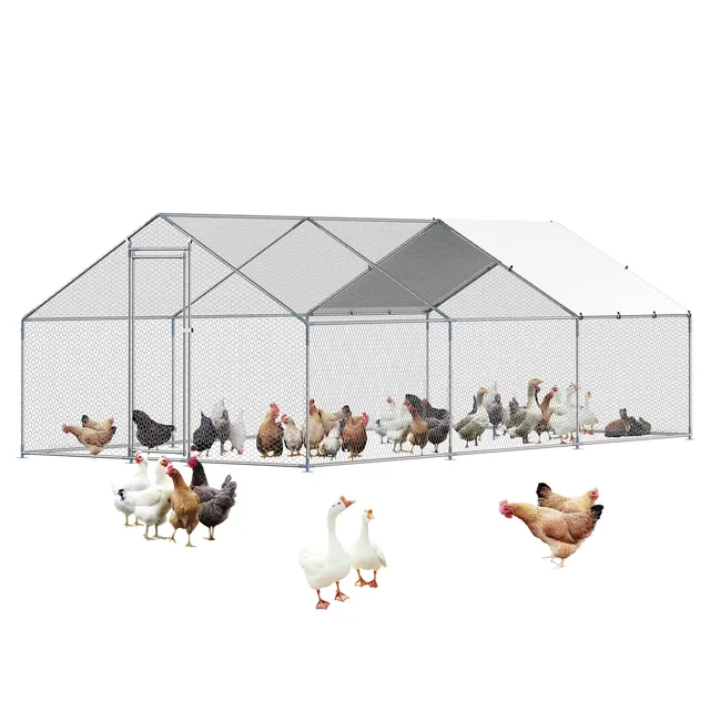 Chicken Coop 5 ft 1" 5.56 ft
