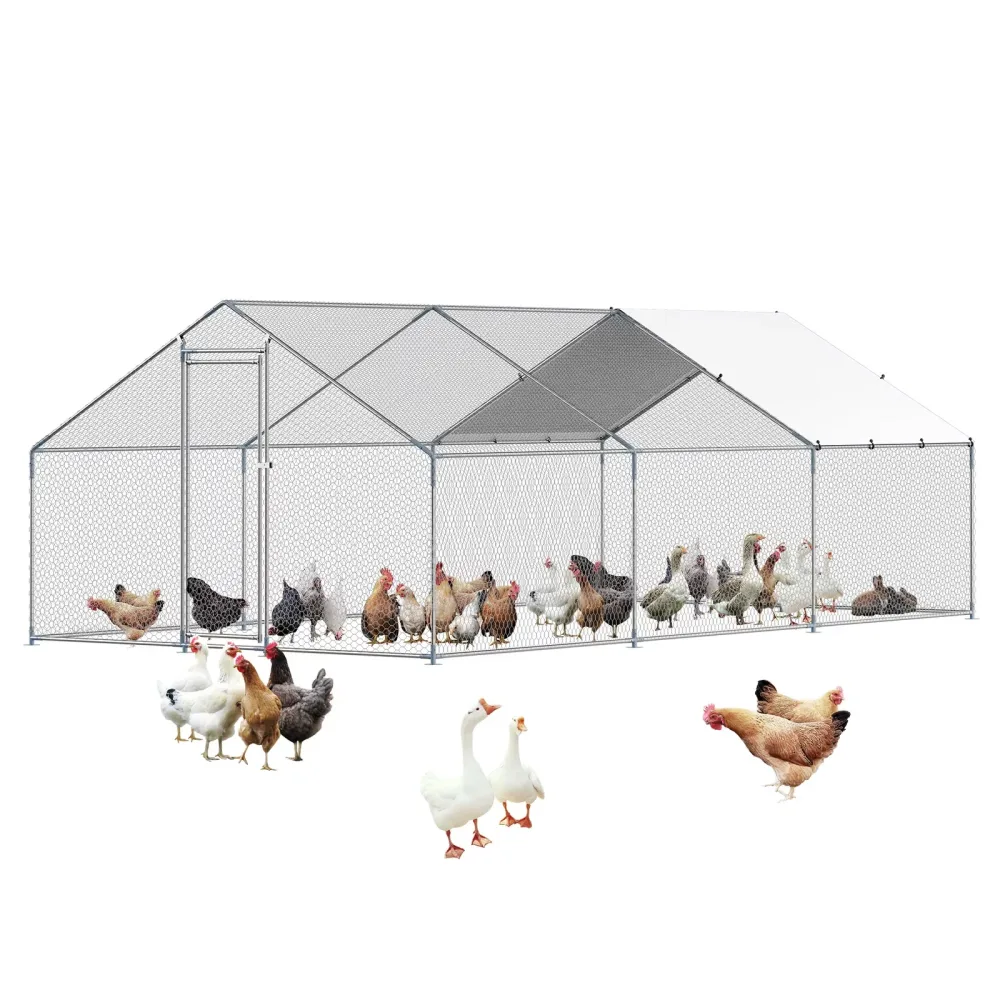 Chicken Coop 5 ft 1" 5.56 ft