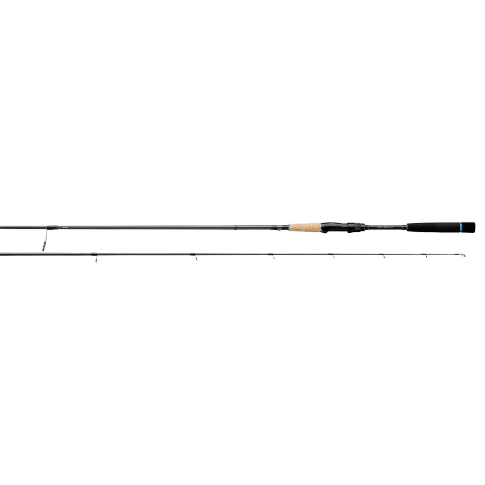 Fishing Rod