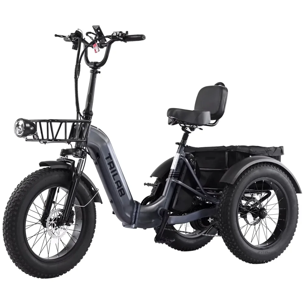 Electric Tricycle 20 inch 48v 275 lbs