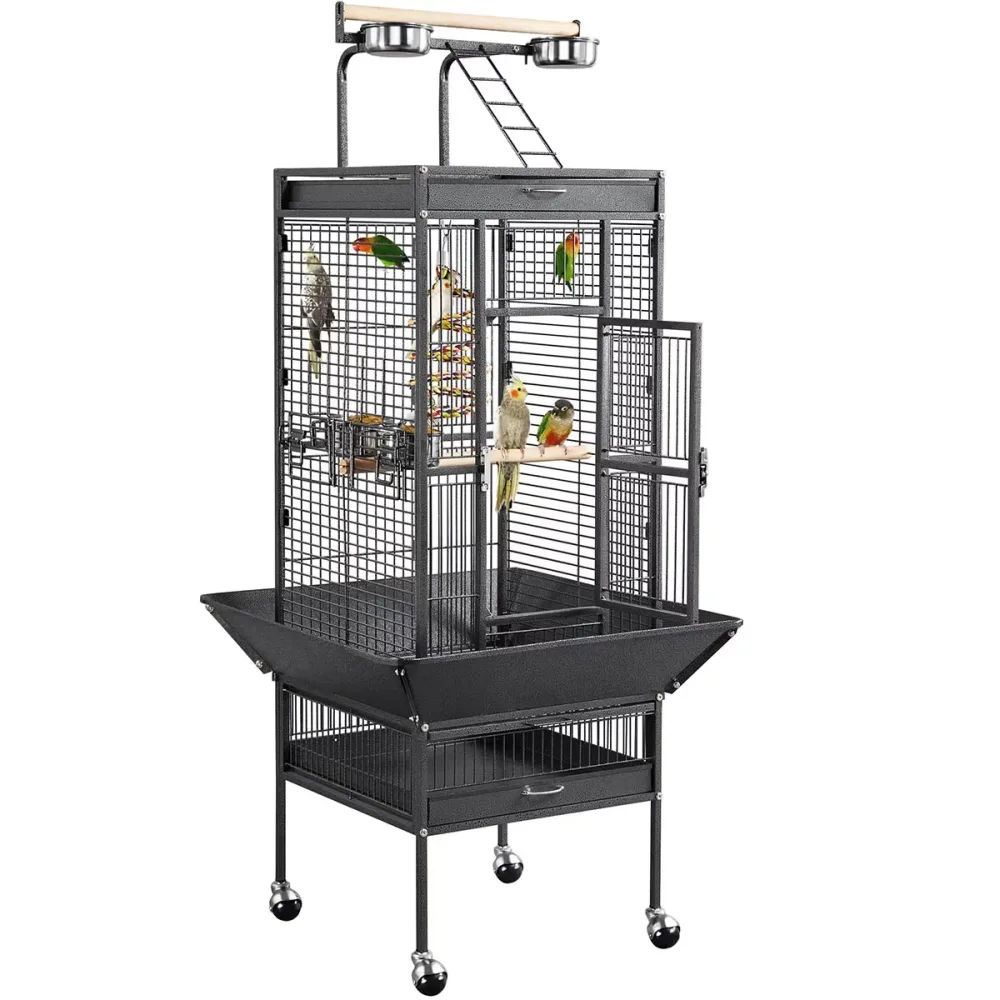 Parrot Bird locking