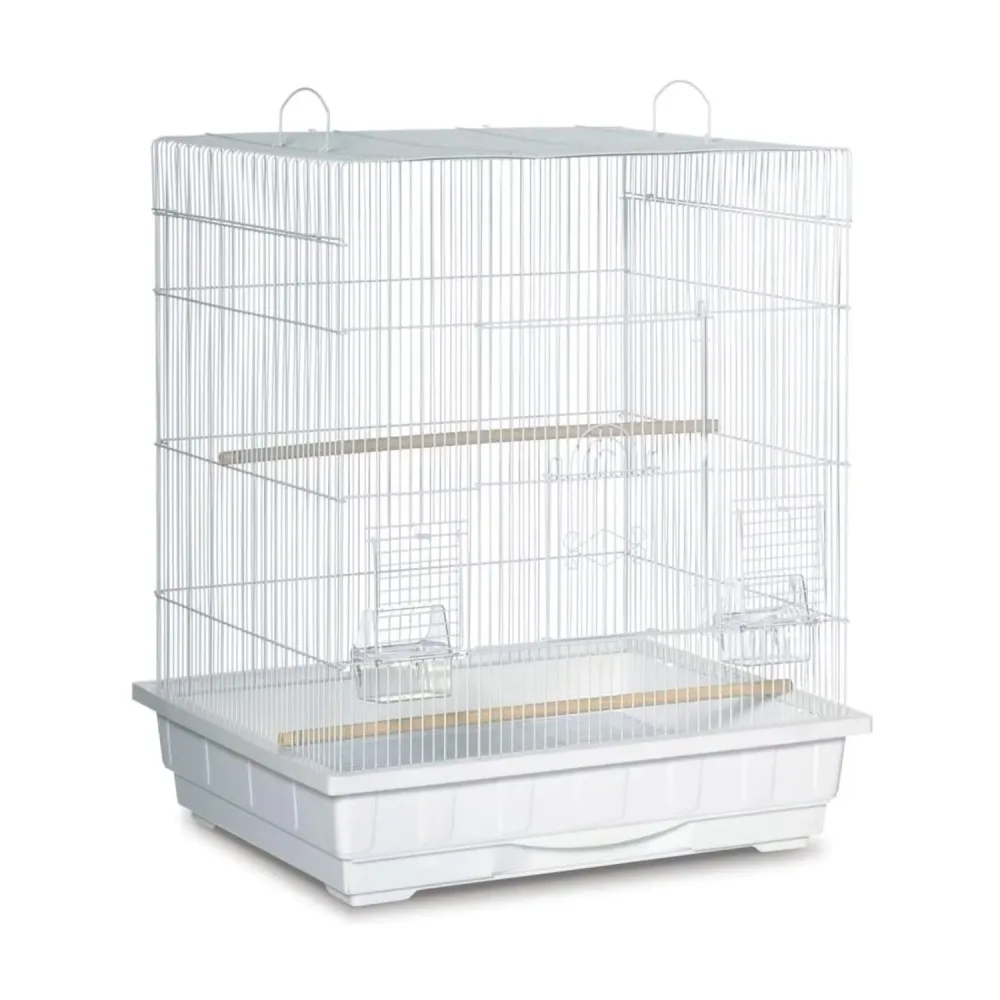 Bird Cage black