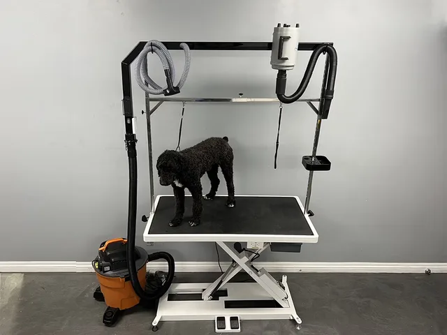 Grooming Table 300 pounds 10 inches 110v