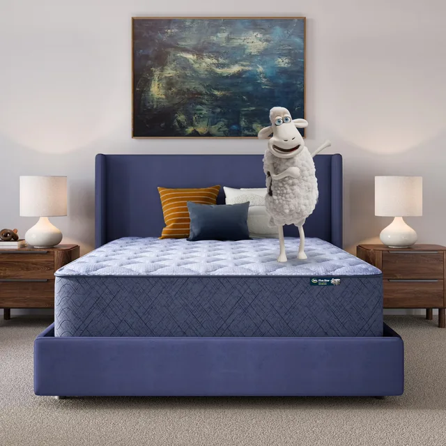 Mattress 14"