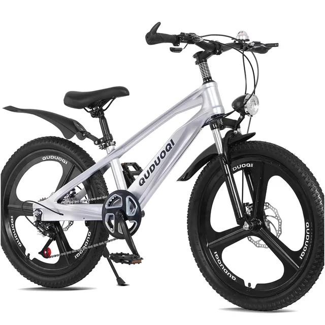 Mountain Bike silver 20" 20 in