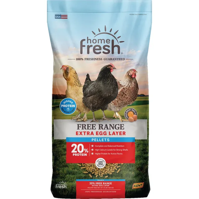 Chicken Feed