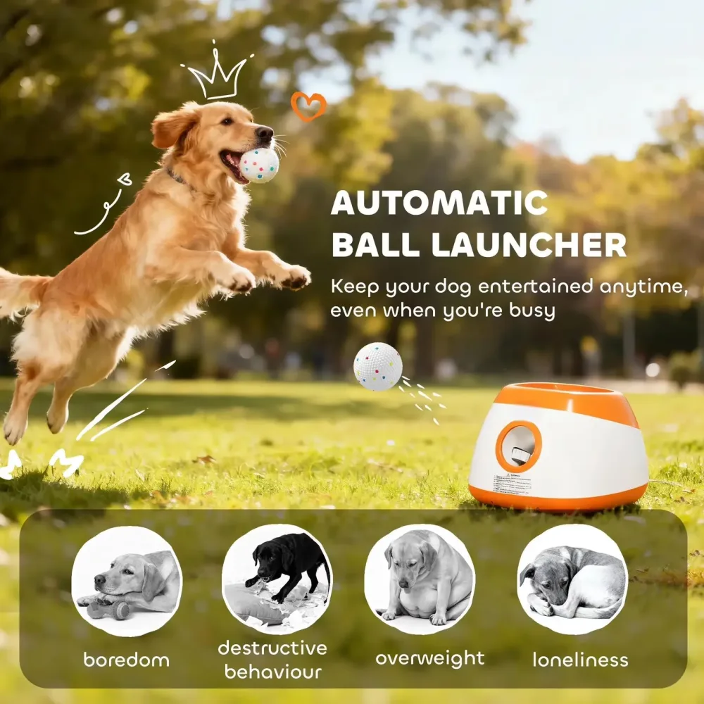 Toy 80 ft rechargeable 80 feet