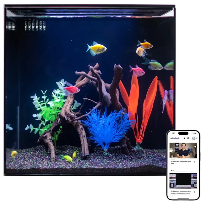 Tanks & Equipment 15 gallons 15 gallon 15"
