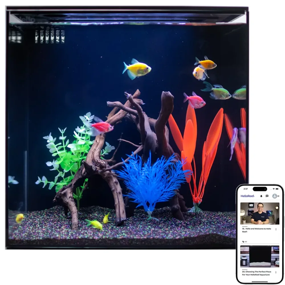 Tanks & Equipment 15 gallons 15 gallon 15"