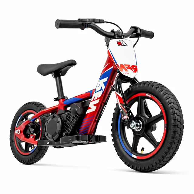 Dirt Bike 24v 100w 170w