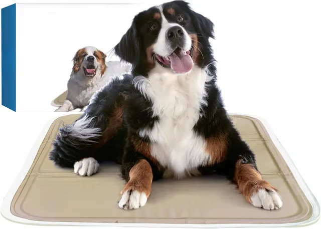 Mat foldable portable